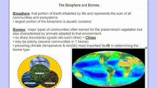 Introduction to Ecology Part 1 [upl. by Jaquelyn]