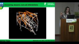 Exploring the rhizosphere Imaging rootsoil interactions using xraycomputed tomography HD [upl. by Oswell]