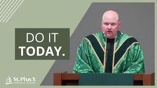 Dont Wait  33rd Sunday in Ordinary Time  Catholic Homily [upl. by Simone230]