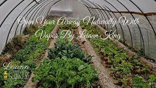 Gardening With Essential Oils By Leiann King [upl. by Anasxor310]