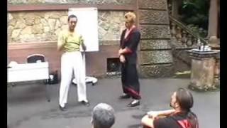 Wing Tsun Leung Ting Tutorial Chi Sao 8 [upl. by Akemor]