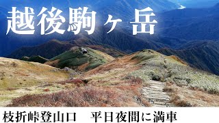 越後駒ヶ岳 枝折峠登山口 20241023 [upl. by Arocal]