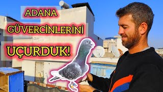 ADANA GÜVERCİNİ UÇURDUK ŞOWMEN  SARİ BAHATTİN [upl. by Naol507]