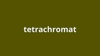 what is the meaning of tetrachromat [upl. by Demy131]