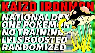 🔥WELL WERE ALREADY AT ATTEMT 200 HOW I LOVE THIS PAIN🔥 MORE POKEMON EMERALD KAIZO IRONMON🔥 [upl. by Bekaj773]