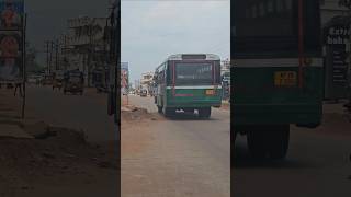 Palle velugu apsrtc busshortsfeed shorts ytshorts trending bus apsrtc trendingshorts [upl. by Enaht]