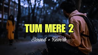 Tum Mere 2  Slowed  Reverb  Lofi Song trending lofi [upl. by Ylenaj]