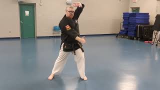 Pinan Yondan  Genki Ryu  Instructional [upl. by Heiner]