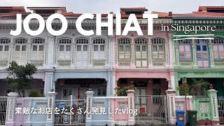 【シンガポール在住者のひとり散策VLOG 】雑貨屋巡り｜プラナカンハウス｜カフェ｜カヤトーストCHIN MEE CHIN） [upl. by Alyakim279]