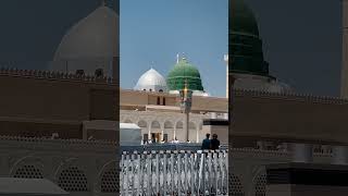 Madina  naat  subscribe  viral  ytshort [upl. by Aynnat781]