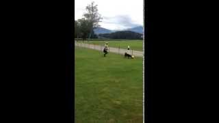 Appenzeller Sennenhund beim FerkelballFussball [upl. by Ardaed116]