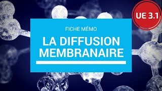 UE 21  La diffusion membranaire [upl. by Merrile]