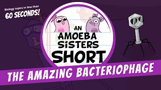 Bacteriophages  Amoeba Sisters Shorts [upl. by O'Toole]