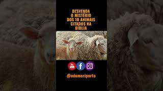 10 Animais Bíblicos e Seus Significacos Profundos [upl. by Novart717]