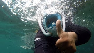 Mergulho Livre com Máscara Full Face de Snorkel Duplo na Ilha Grande em Angra dos Reis [upl. by Jasik735]