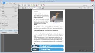 Adobe Acrobat XI Tutorial  Finding And Searching In PDFs [upl. by Lede]