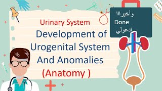 Development of Urogenital System And Renal Anomalies مليان صور توضيحية [upl. by Gris209]