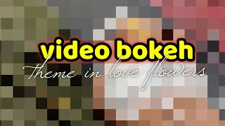 Video bokeh theme in love beautifull flowers outdoor full hd [upl. by Alat453]