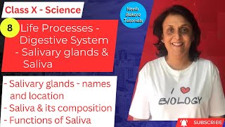 Class X Science  Life Processes  Salivary Glands and Saliva  Neela Bakore Tutorials [upl. by Festatus]