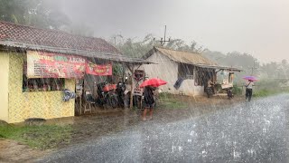 I Walking in the rain of Great Thunder in the village Red soil  Very refreshing and soothing [upl. by Connell]