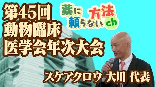 第45回動物臨床医学会年次大会 スケアクロウ 大川 代表 [upl. by Elleirbag]