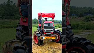 Mahindra 585 YUVO TECH  4wd mahindratractors trending trendingvideo [upl. by Trebmer502]