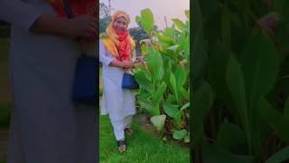 Green park enjoy doctorclinic shortvideo viralvideo trendingshorts hijab [upl. by Aliehc]