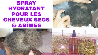 SPRAY HYDRATANT POUR LES CHEVEUX SECS amp ABÎMÉS [upl. by Derdlim]