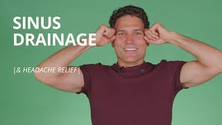 3 Sinus Headache Relief Exercises  Paranasal Sinus Drainage Massage [upl. by Aicinad]