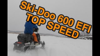 Ski Doo Expedition Sport 600 EFI Top Speed Test [upl. by Afnin]