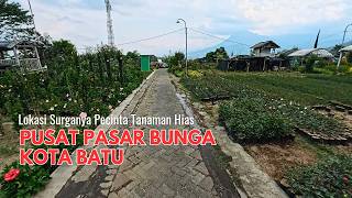 Kota Batu Jalur Pasar Bunga Sekar Mulyo Batu [upl. by Eldnek657]