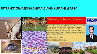 Trypanosomiasis in Cattle Horses Camel and Dogs Causes Symptoms Diagnosis and Treatment [upl. by Werdnael]