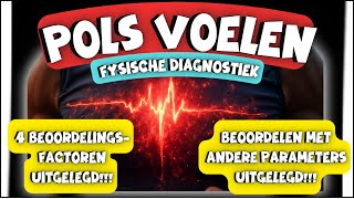 Fysische Diagnostiek  De Pols Beoordelen verpleegkundige polsvoelen klinischredeneren [upl. by Schecter]