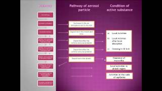 Study of Biopharmacy in Intrapulmonary route [upl. by Nnyleak]