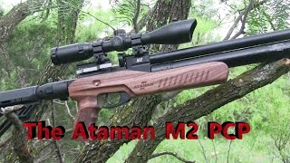 Pest Control with the Ataman M2 Ultra Carbine [upl. by Nytsua272]