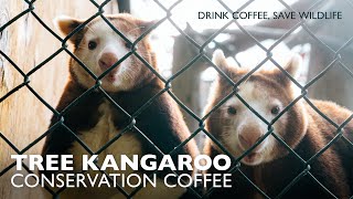 Tree Kangaroo Conservation  Coffee from PNG YUS [upl. by Terence]