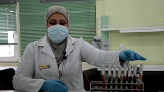 Biochemical Tests  Assist Inst Sanaa Basheer Kadhem [upl. by Ennairak]