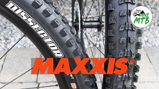 Maxxis Dissector BEST Aggressive Trail Tire Next to Minion DHF and DHR2 [upl. by Jenn]