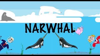 The narwhal song  Songs for kids  Aquatic animals for kids  Learn about narwhals [upl. by Zeidman]