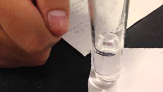 Magnesium Reacting with Water [upl. by Notsob]