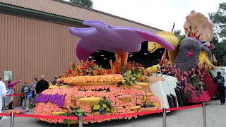 Shock n Roll  Final Judging  2024 Rose Parade [upl. by Matthews922]