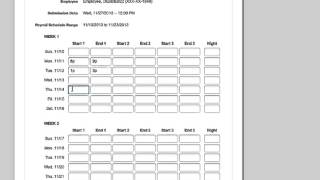 Creating a Timesheet  PCA [upl. by Qifahs717]