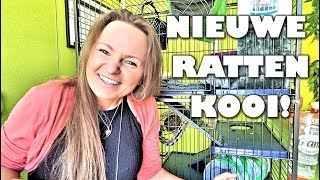 NIEUWE RATTENKOOI  Perfect knaagdierkooi van Zooplus [upl. by Anatlus]