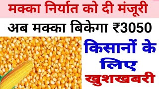 मक्का किसानों के लिए खुशखबरी मक्का निर्यात को मंजूरी  Makka mandi bhav Makka update duniy [upl. by Amandy]