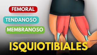 4 EJERCICIOS DE PIERNAS QUE DEBES HACER [upl. by Nonnair]