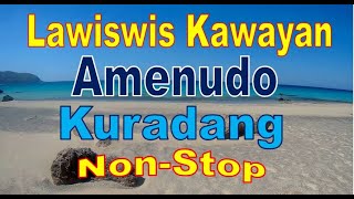 Lawiswis Kawayan  Amenudo  Kuradang NonStop Instrumental  Waray Music [upl. by Ludba]