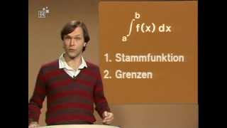 39 Das Integral  Telekolleg Mathematik [upl. by Ambler819]