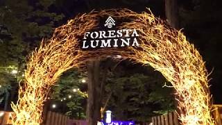 Foresta Lunina Coaticook [upl. by Agathy]