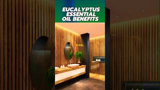 🌿The 1 Reason to Use Eucalyptus Oil in Your Shower [upl. by Aneryc]