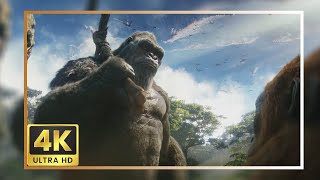 Kong 2024 Scene Pack  Godzilla X Kong The New Empire 4K Clips [upl. by Enibas261]